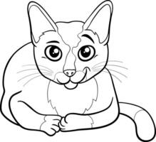 marrant dessin animé chat bande dessinée animal personnage coloration page vecteur