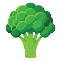 Frais et vibrant brocoli des illustrations ajouter vert faire appel à votre dessins vecteur