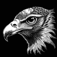 un Aigle tête illustration dans noir et blanche. vecteur