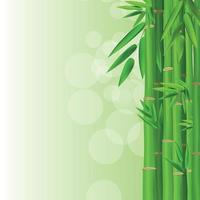 tiges colorées et fond de feuilles de bambou. illustration vectorielle