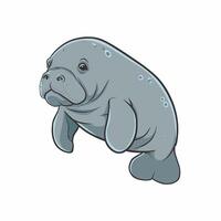 mignonne dessin animé dugong isolé sur blanc Contexte. main tiré illustration de mer vache. vecteur