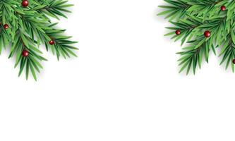 Branches d'épinette avec des baies de sapin résumé fond de Noël vector illustration