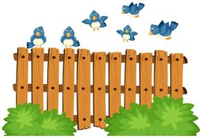 Oiseaux bleus survolant une clôture en bois