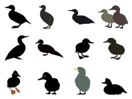 ensemble de silhouettes de différents types de canards existants. illustration vectorielle. vecteur