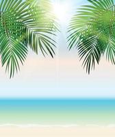 heure d'été feuille de palmier bord de mer vector illustration de fond