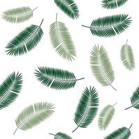feuille de palmier sans soudure de fond. illustration vectorielle. vecteur