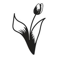 tulipe fleur. noir et blanc silhouette de une tulipe. une Facile main tiré icône. illustration sur blanc Contexte. vecteur