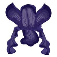 iris fleur violet. illustration sur blanc Contexte. vecteur
