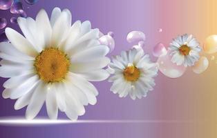 fleurs de camomille abstraites printemps naturel et fond d'été vecteur réaliste 3d iillustration
