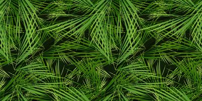 Fond de feuilles de palmiers sans soudure vecteur