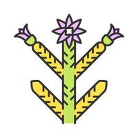 icône de couleur cholla. cylindropuntie. flore exotique mexicaine et américaine. plante épineuse avec des fleurs. illustration vectorielle isolée vecteur