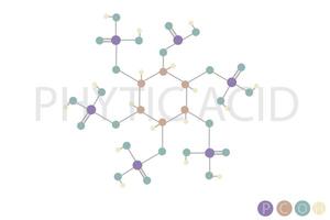 phytique acide moléculaire squelettique chimique formule vecteur