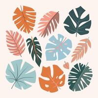 une collection de tropical feuilles de irrégulier abstrait forme. heure d'été. vert, rose, bleu. main dessiner. pour le conception de bannières, cartes postales, faire-part, motifs vecteur