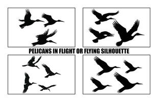 pélicans en volant silhouettes, troupeau de des oiseaux en volant silhouettes.pélicans en volant vecteur