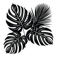 noir silhouettes de tropical paume feuilles, des arbres vecteur