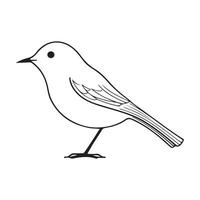 mignonne oiseau noir et blanc dessin animé personnage conception collection. blanc arrière-plan, animaux. vecteur