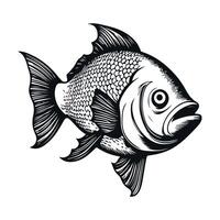 poisson illustration noir et blanc collection. blanc arrière-plan, animaux. vecteur