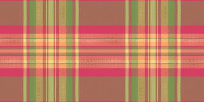 indépendance journée tartan en tissu textile, fille modèle sans couture vérifier. l'amour Contexte texture plaid dans rouge et vert couleurs. vecteur