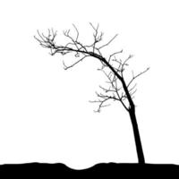 silhouette d'arbre isolé sur fond blanc. illustration vectorielle vecteur