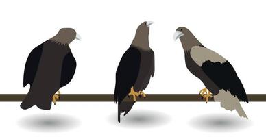 ensemble de silhouettes d'aigle dangereux vivant rapidement sur fond blanc. illustration vectorielle. vecteur