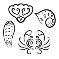 mer coquilles frisé ligne art dessin clipart illustration vecteur