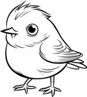 noir et blanc dessin animé illustration de peu oiseau oiseau pour coloration livre vecteur
