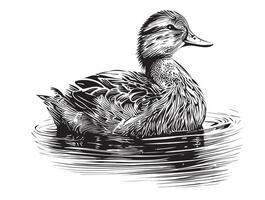 canard esquisser main tiré dans griffonnage style chasse illustration vecteur