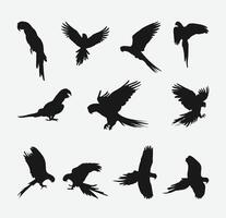 majestueux aras, exquis silhouette ensemble mettant en valeur le la grâce et beauté de perroquet des oiseaux vecteur