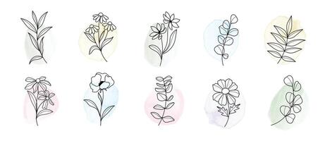 minimal botanique main dessin conception pour logo et mariage invitation. floral ligne art. fleur et feuilles sur aquarelle Contexte conception collection pour bouquets décoration, emballage, l'image de marque. vecteur