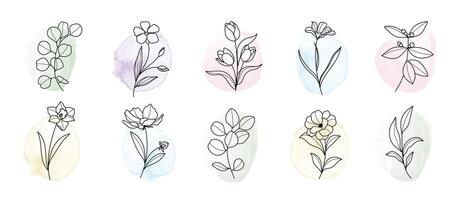 minimal botanique main dessin conception pour logo et mariage invitation. floral ligne art. fleur et feuilles sur aquarelle Contexte conception collection pour bouquets décoration, emballage, l'image de marque. vecteur