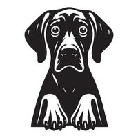 une craintif vizsla chien visage illustration dans noir et blanc vecteur