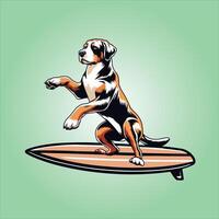 chien en jouant planches de surf - une plus grand Suisse Montagne chien surfant illustration vecteur