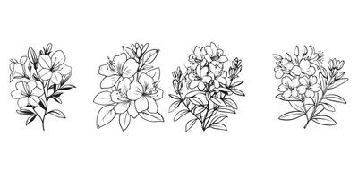 azalée fleur collection dans noir et blanc vecteur