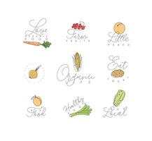 étiquette des fruits et des légumes carotte, groseille, pêche, oignon, maïs, pomme de terre, abricot, poireau, salade avec texte dessin avec Couleur dans linéaire style sur blanc Contexte vecteur