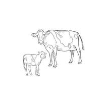 une ligne tiré illustration de une vache et veau. chaque animal est un individuel eps et pouvez être utilisé séparément. vecteur