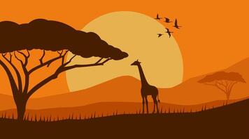paysage illustration de savane champ avec girafe et africain arbre vecteur