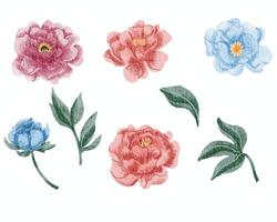 bleu, rose, et rouge Rose aquarelle fleur vecteur