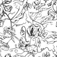 main tiré graphique encre illustration botanique fleurs feuilles. sucré éternel pois, vesce liseron légumineuse vrilles. sans couture modèle isolé blanc Contexte. mariage, cartes, floral magasin vecteur