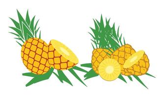 ananas fruit collection. vecteur