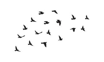 conception d'oiseaux volants vecteur