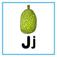 Frais jack fruit alphabet j illustration vecteur