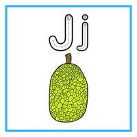 tracé alphabet plat jack fruit illustration vecteur