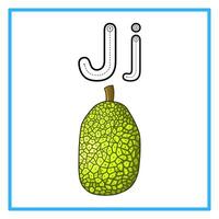 tracé alphabet Frais jack fruit illustration vecteur