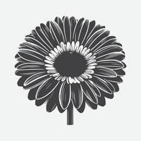 impression élégant gerbera fleur silhouette art vecteur