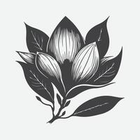 exquis magnolia fleur silhouette, une intemporel élégance dans la nature art vecteur