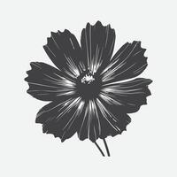 impression étourdissant coréopsis fleur silhouette, une visuel délice dans botanique art vecteur