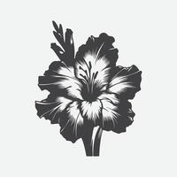 majestueux glaïeul fleur silhouette, le ultime symbole de la grâce et force vecteur