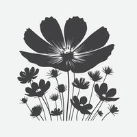 céleste danse, cosmos fleur silhouette vecteur