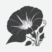 enchanteur silhouette de le Matin gloire fleur vecteur