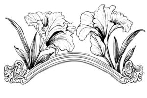 ancien baroque architecture illustration fleuri moulage et floral ornements, classique conception avec iris fleurs. vecteur